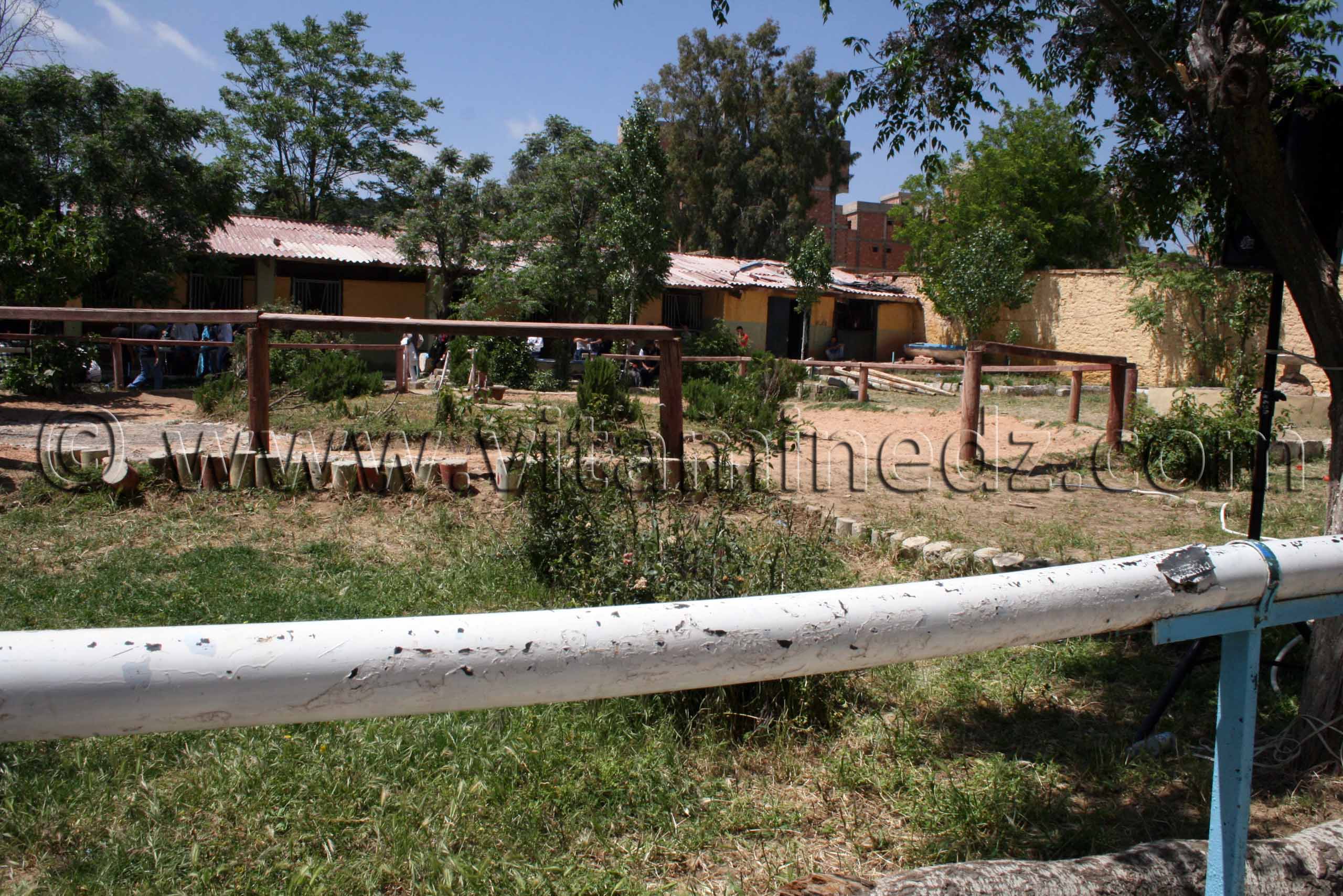 Centre equestre Emir Abdelkader de Tiaret