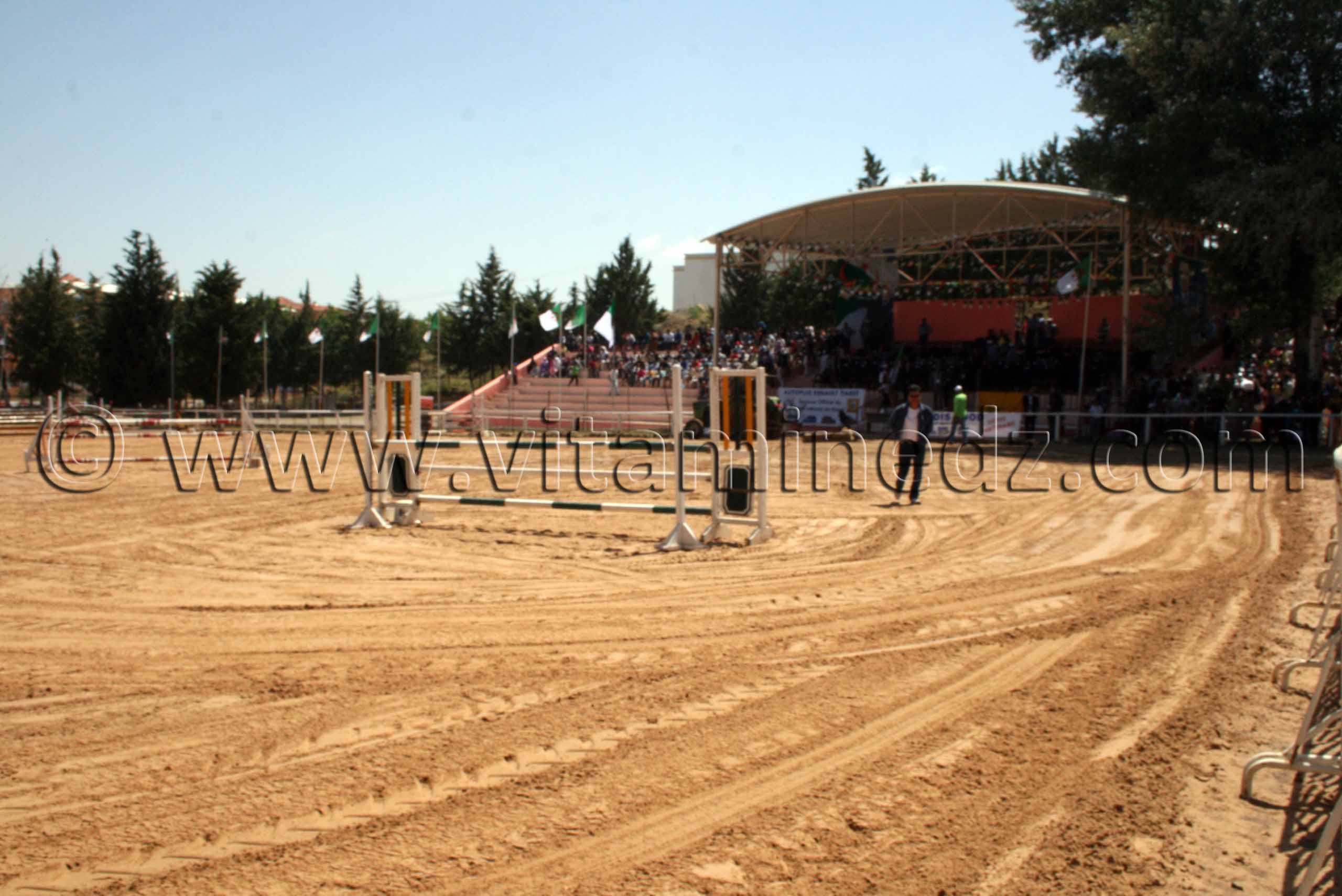 Centre equestre Emir Abdelkader de Tiaret, lors de la 8è Edition du Festival du cheval, Vente au enchères de pur sang arabes, Equitation et saut d'obstacles.