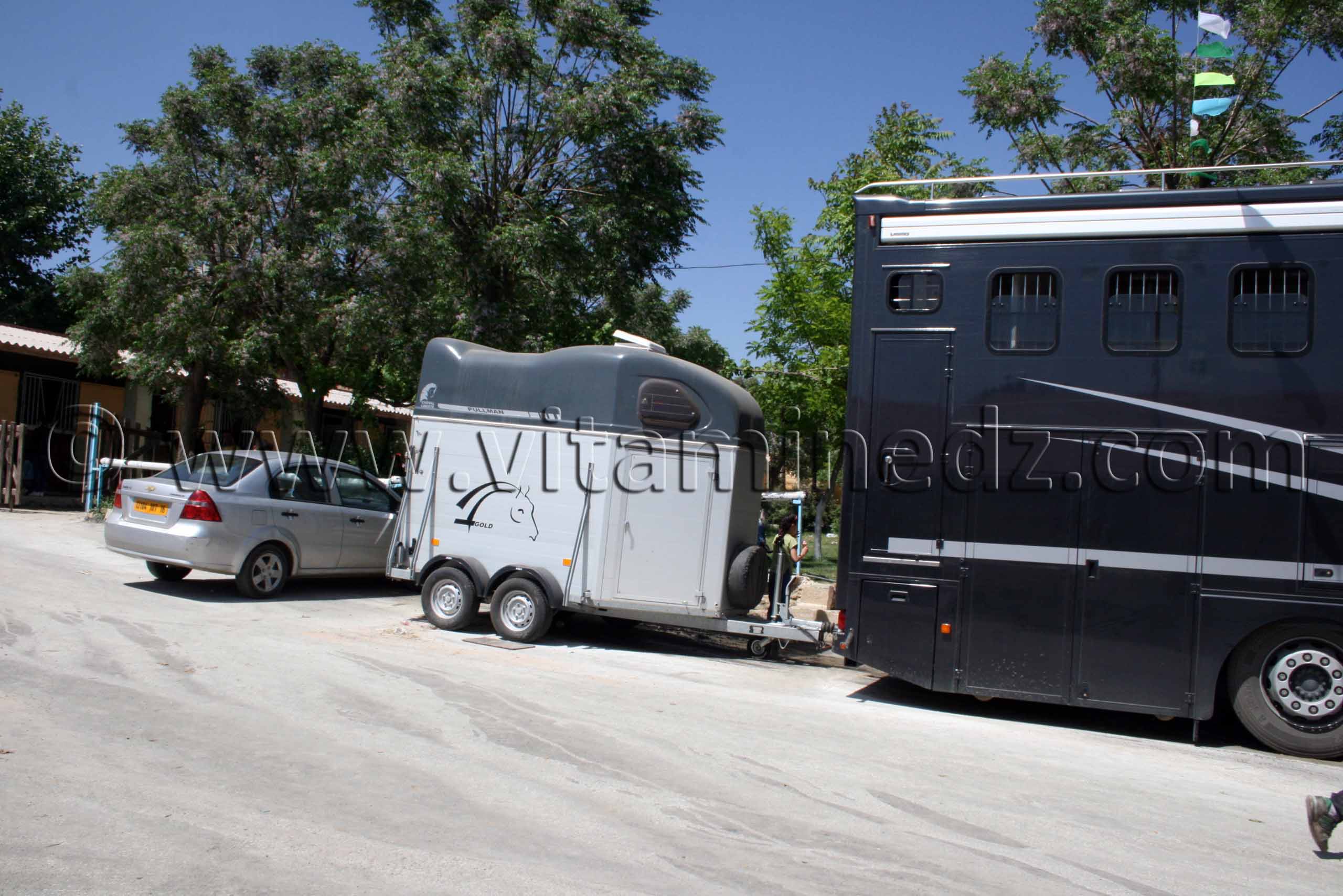 Transport des chevaux, professionnel de Mostaganem