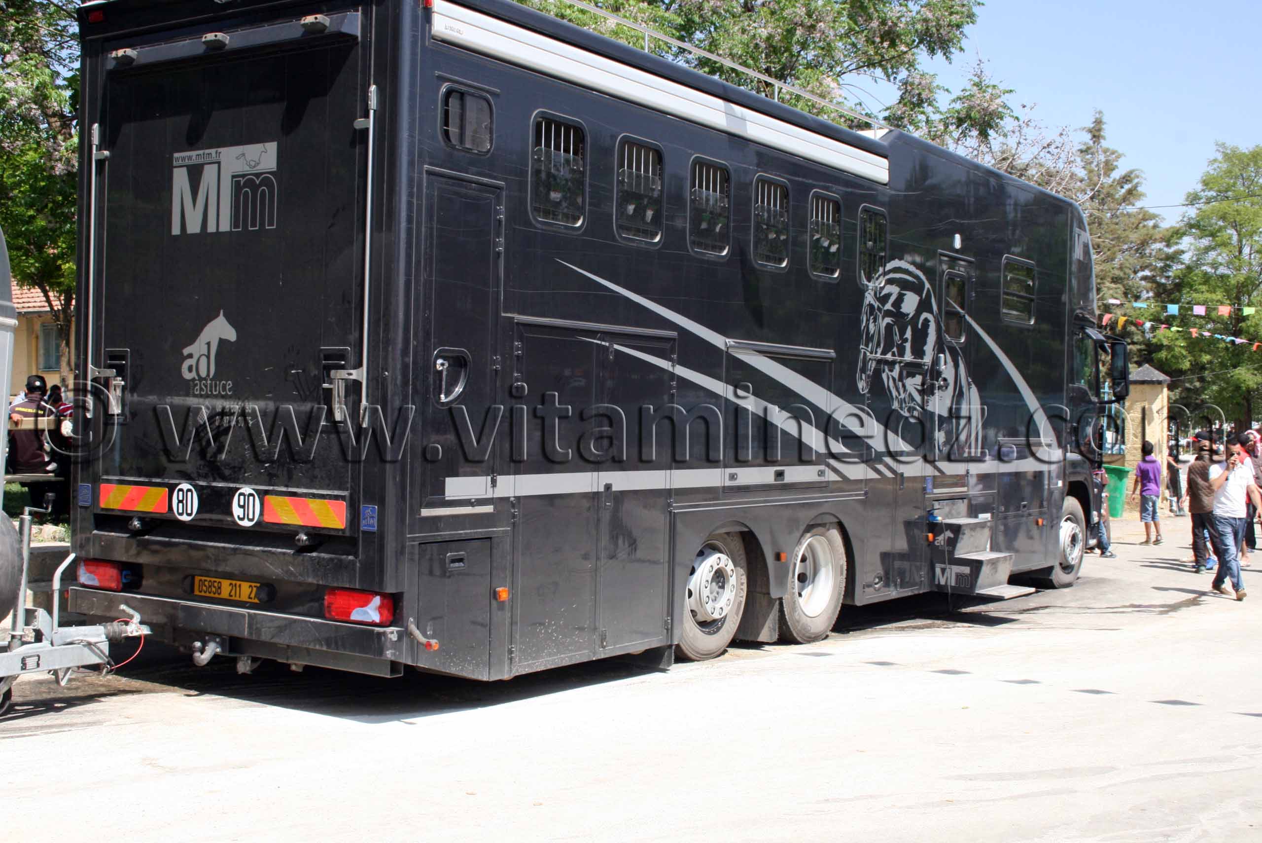 Camion pour le transport de chevaux de Mostaganem