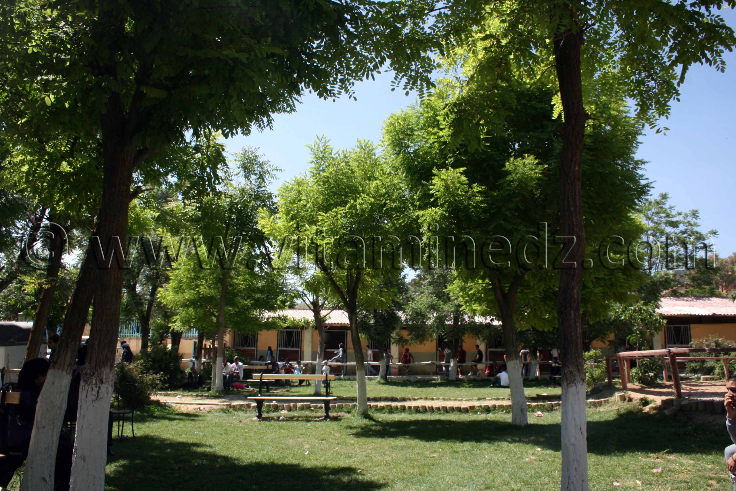 Centre equestre Emir Abdelkader de Tiaret