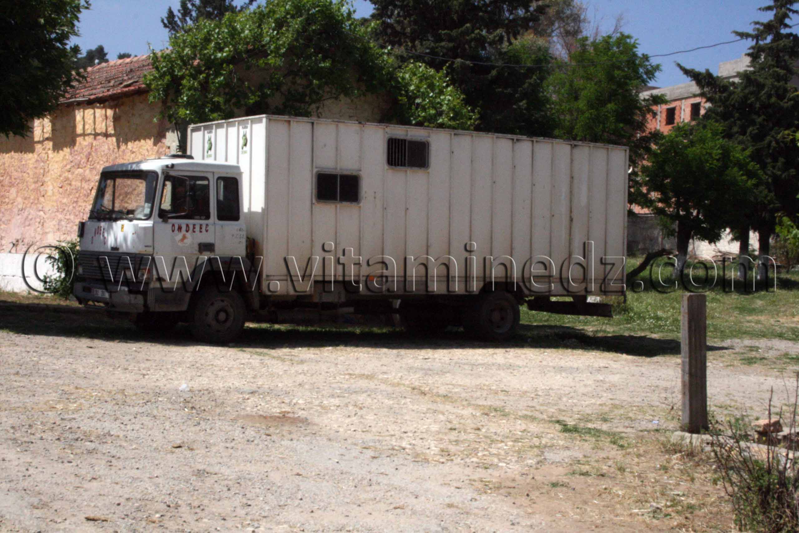 Camion pour le transport de chevaux