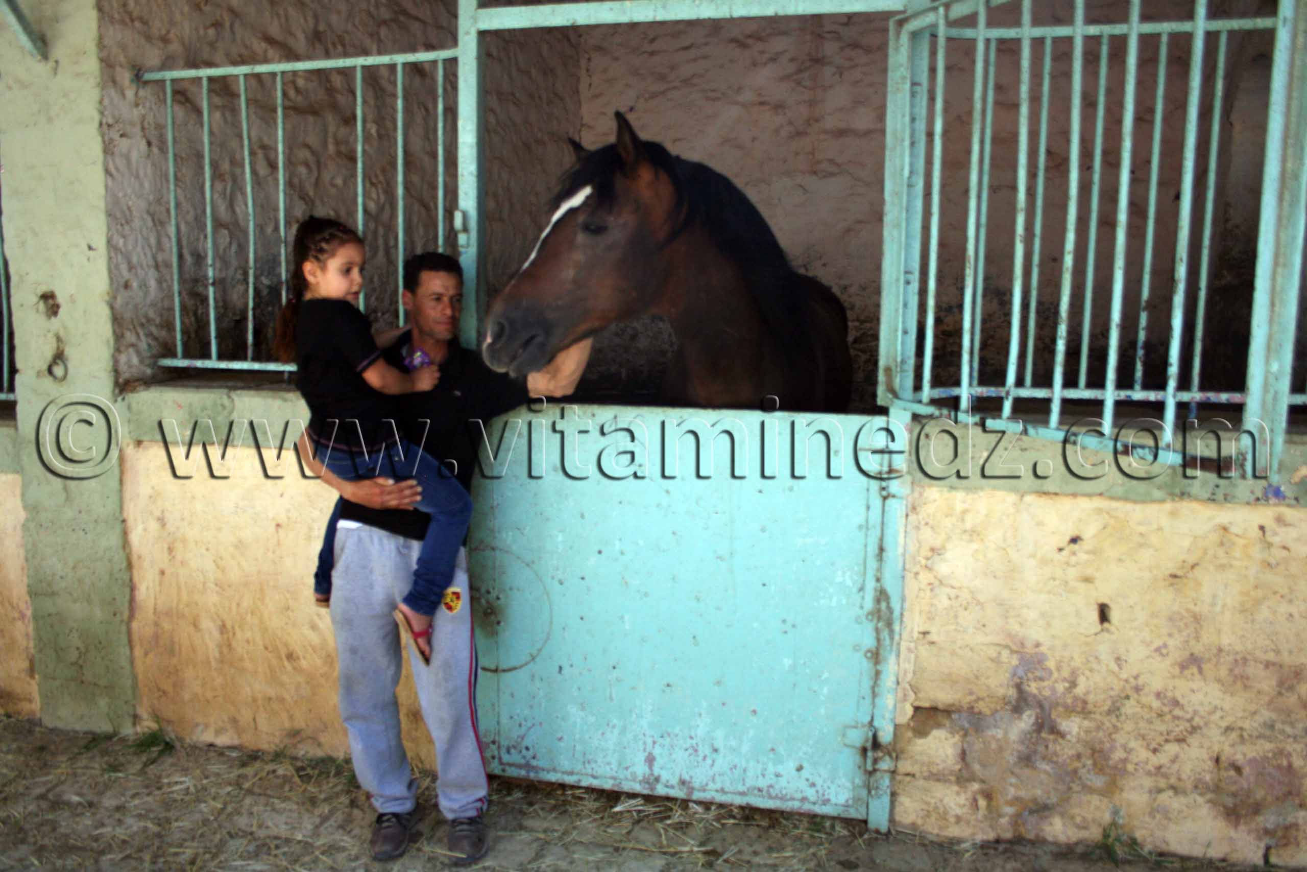 Centre equestre Emir Abdelkader de Tiaret,