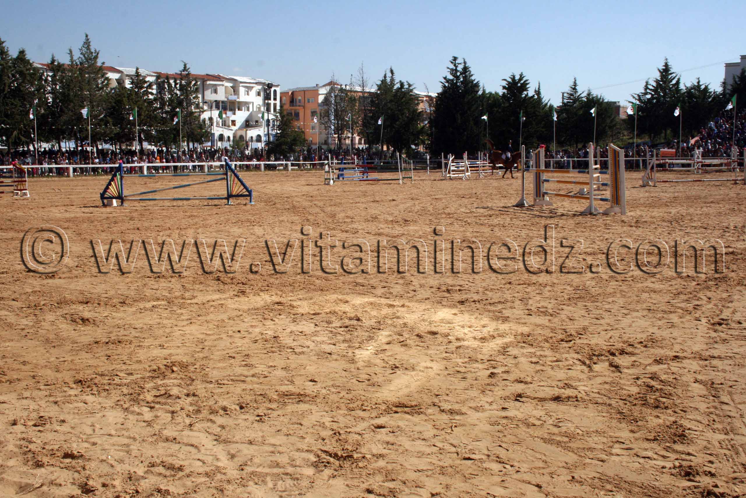 Centre equestre Emir Abdelkader de Tiaret, lors de la 8è Edition du Festival du cheval, Vente au enchères de pur sang arabes, Equitation et saut d'obstacles.