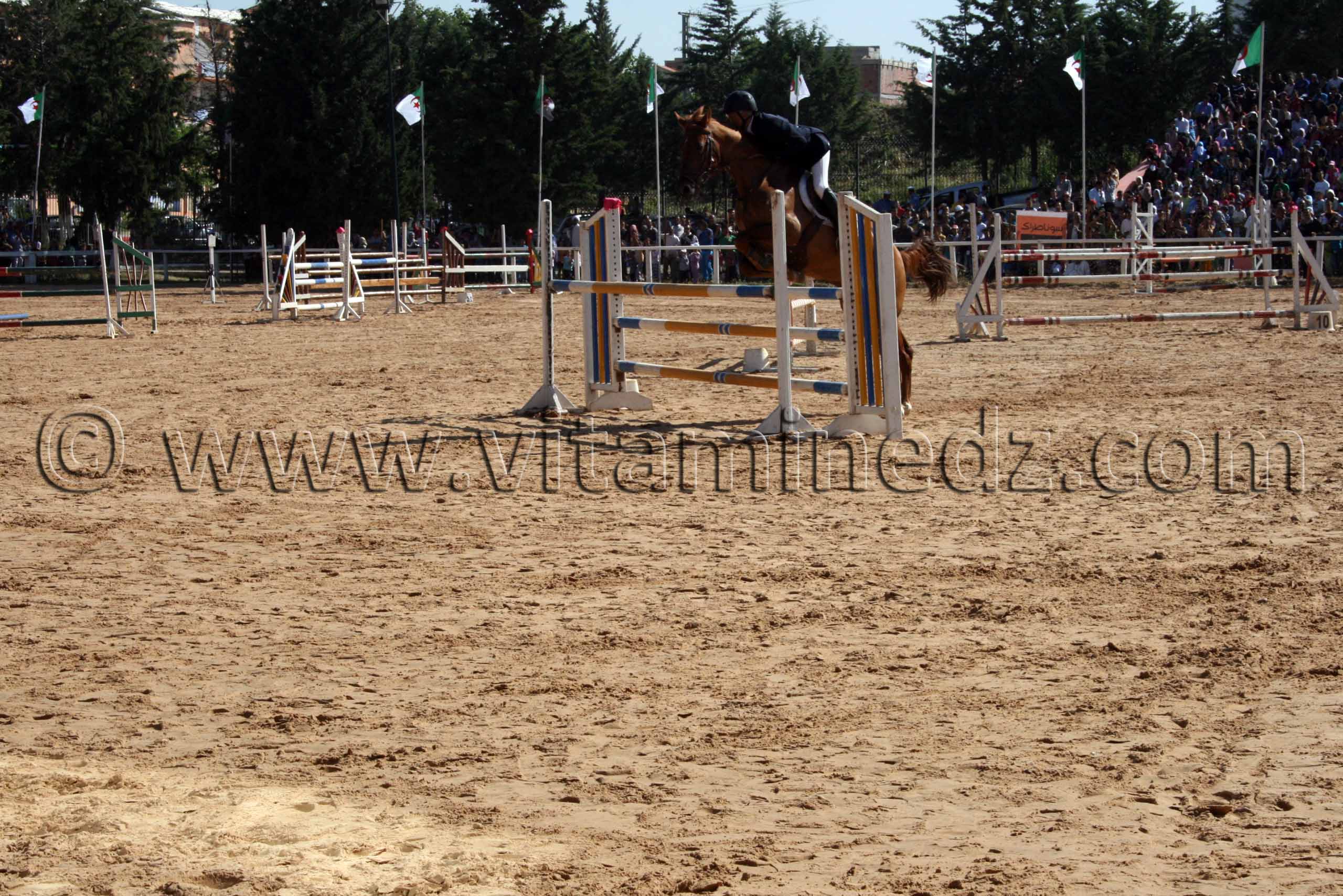 Saut d'obstacles Centre equestre Emir Abdelkader de Tiaret, lors de la 8è Edition du Festival du cheval, Vente au enchères de pur sang arabes, Equitation et saut d'obstacles.