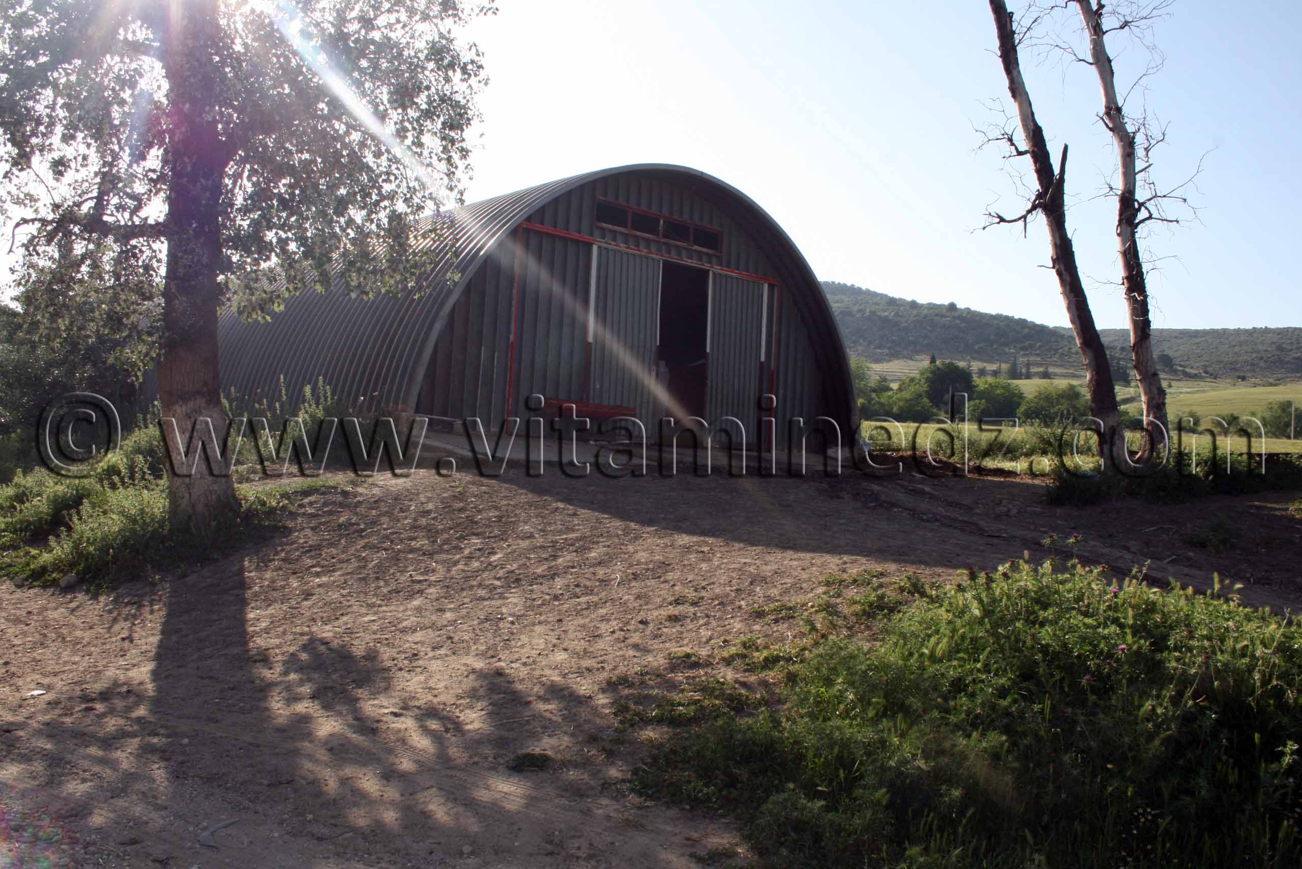 Centre equestre Emir Abdelkader de Tiaret