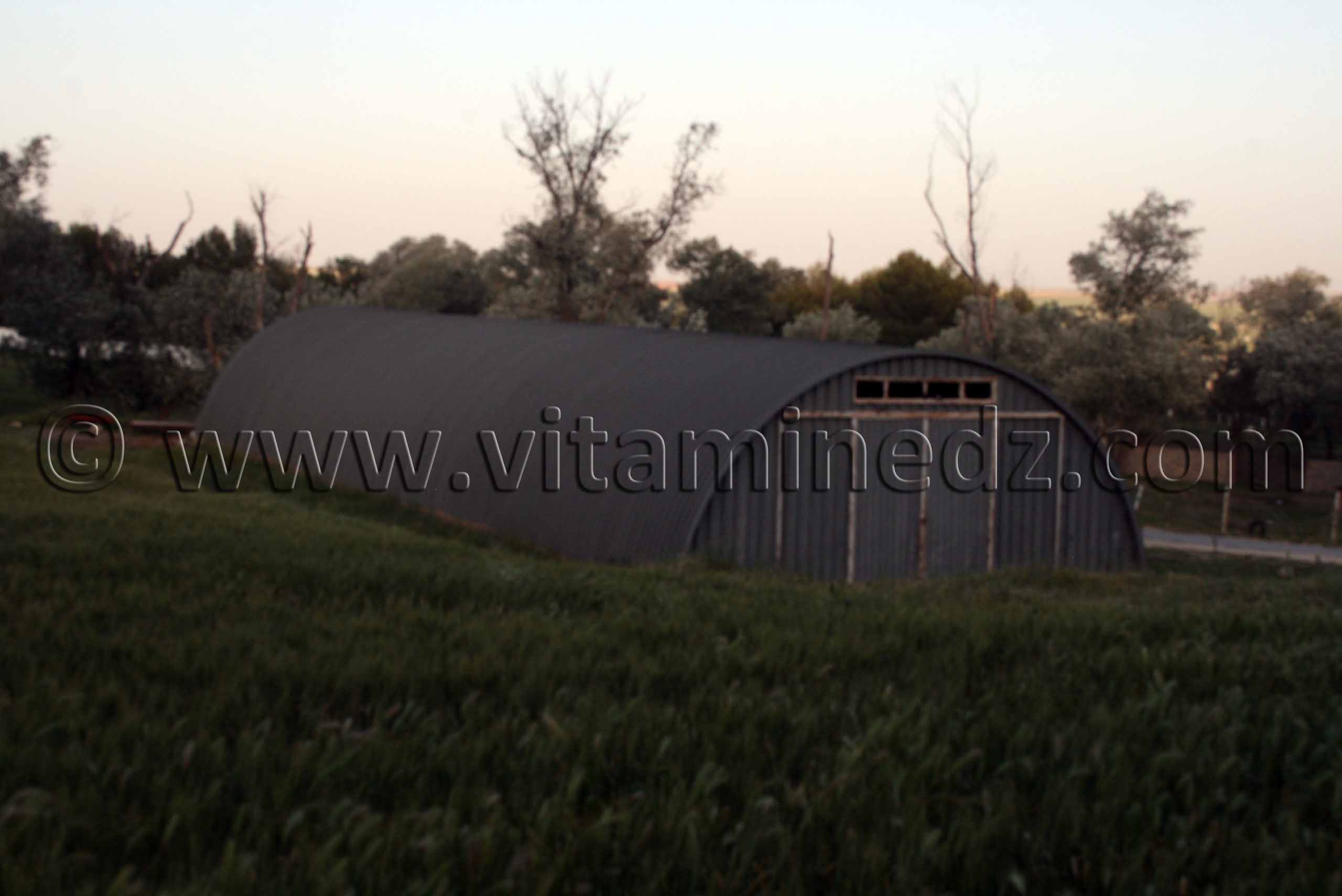 Hangar d'elevage de chevaux au Centre equestre Emir Abdelkader de Tiaret