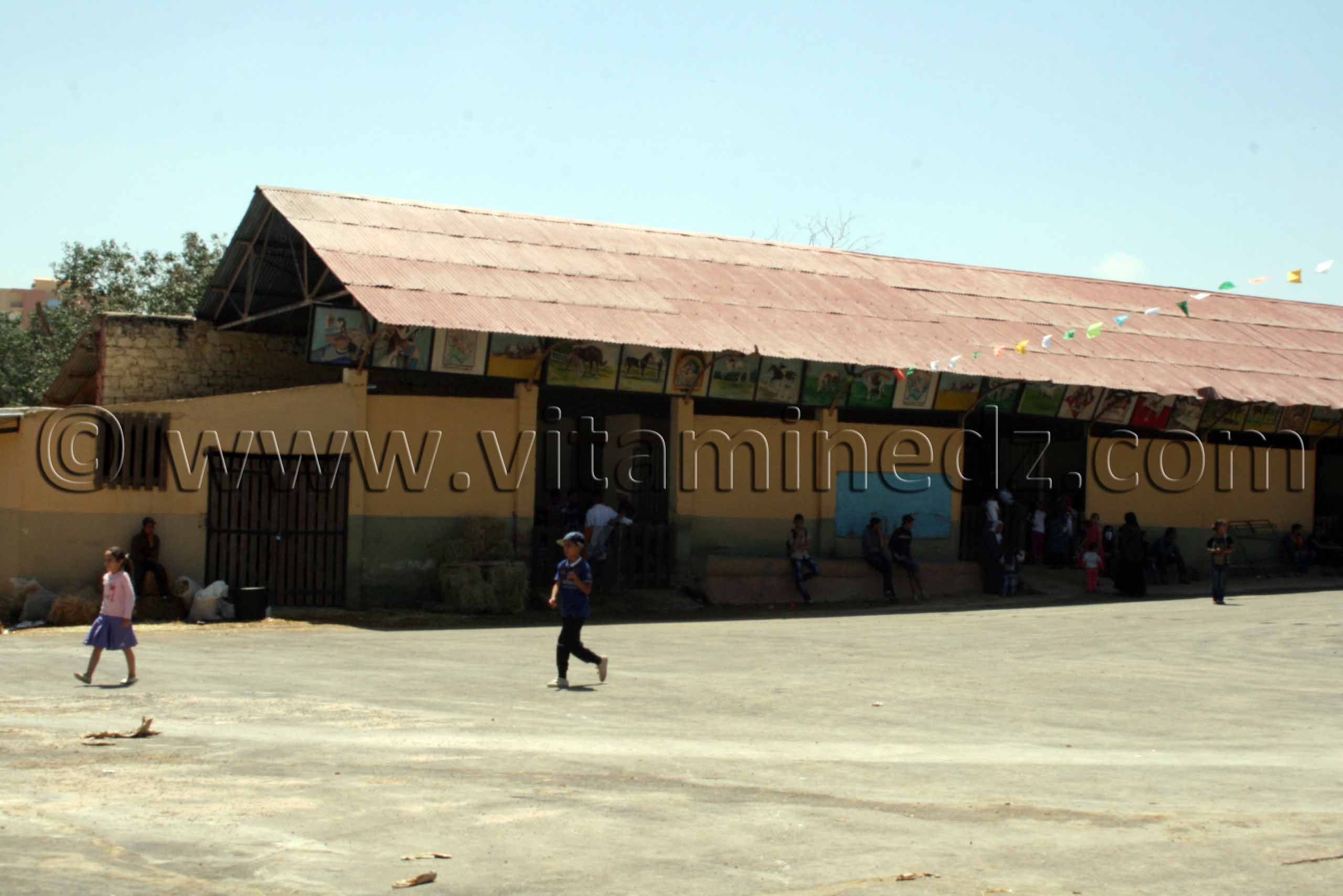 Boxes des chevaux Centre equestre Emir Abdelkader de Tiaret