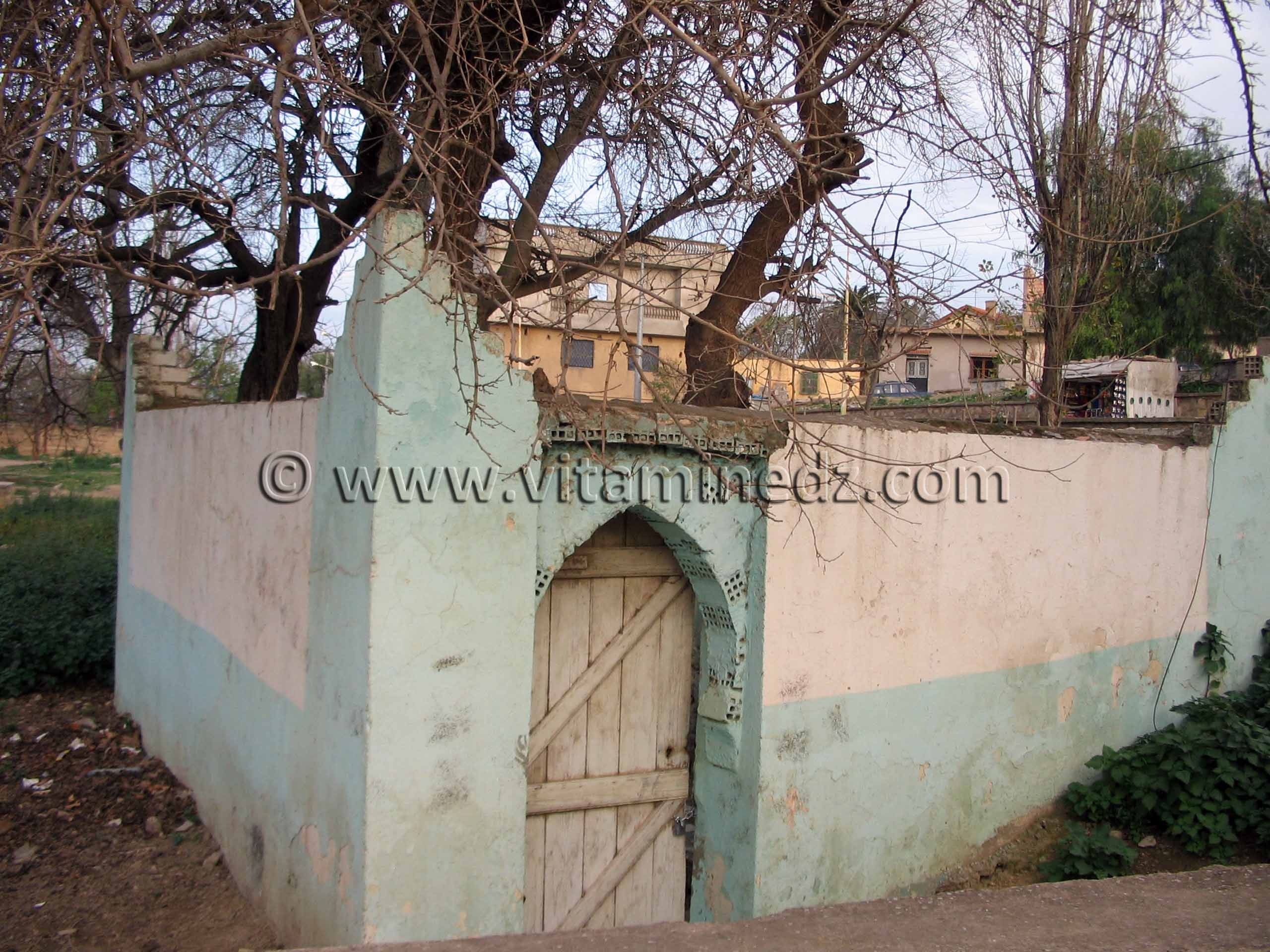 Darih de Sidi Yakoub, saint de Tlemcen