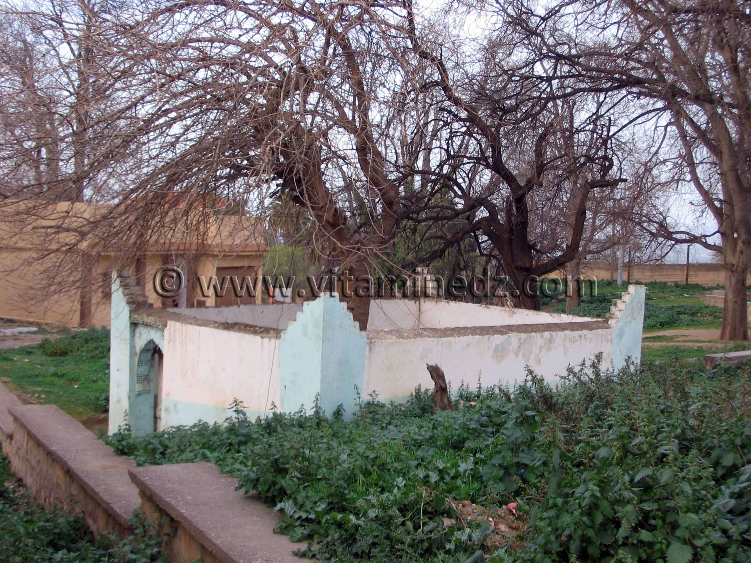 Darih de Sidi Yakoub (Abou- Yaqoub Yousef-ben-Abdallah), saint de Tlemcen