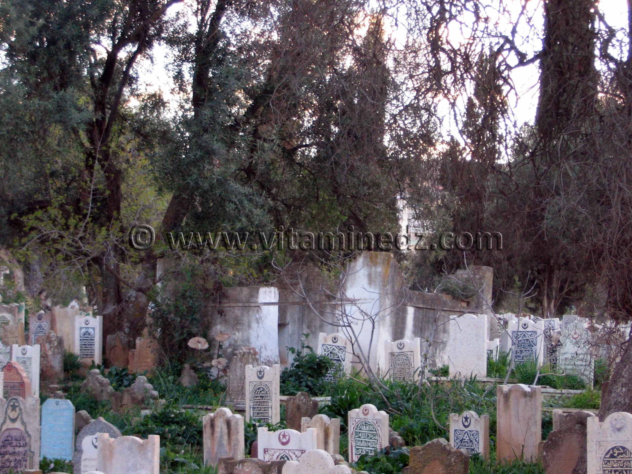 Darih de saints inconnus au Cimetière Sidi Senouci de Tlemcen
