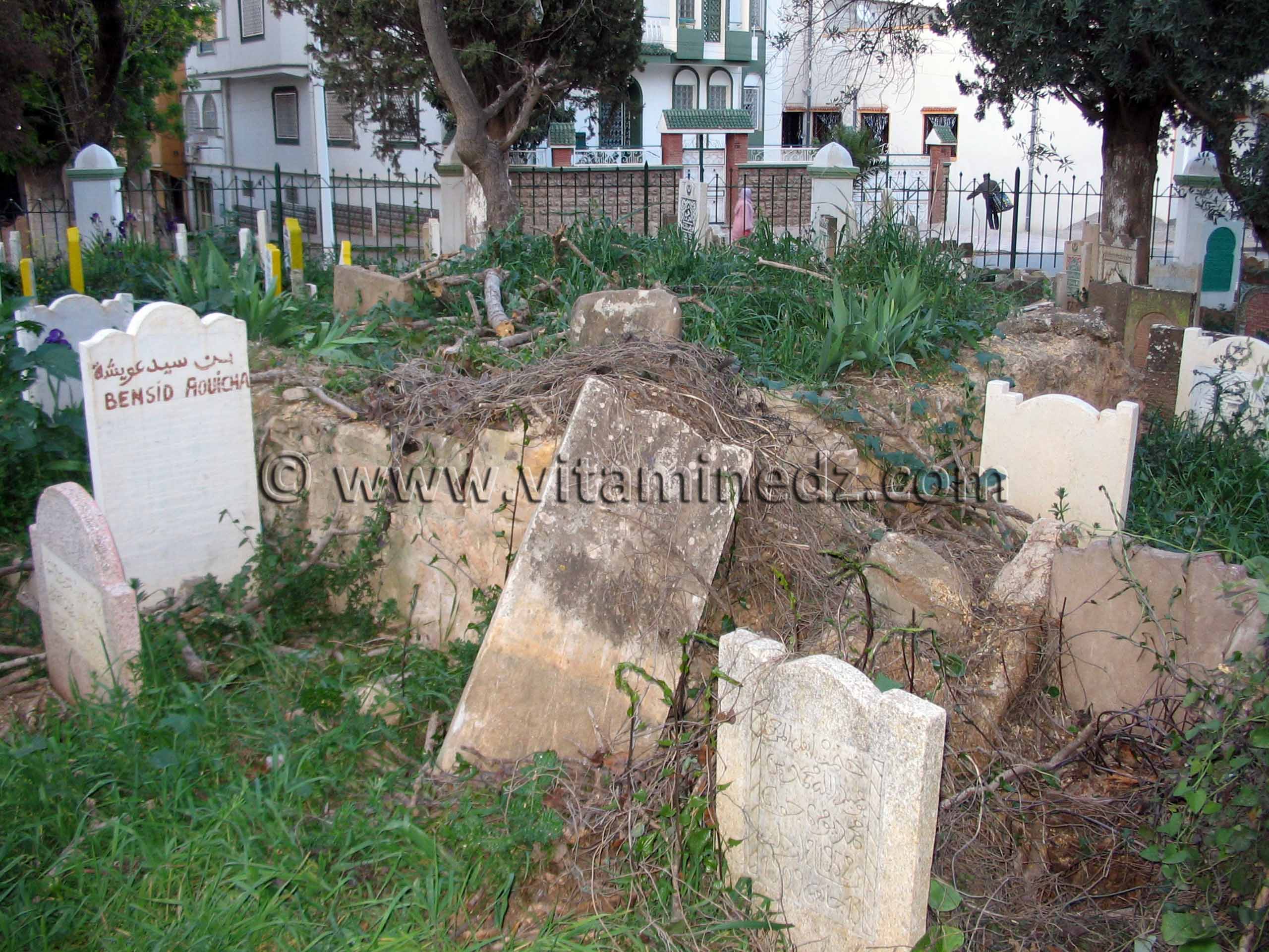 Darih de saints inconnus au Cimetière Sidi Senoussi de Tlemcen