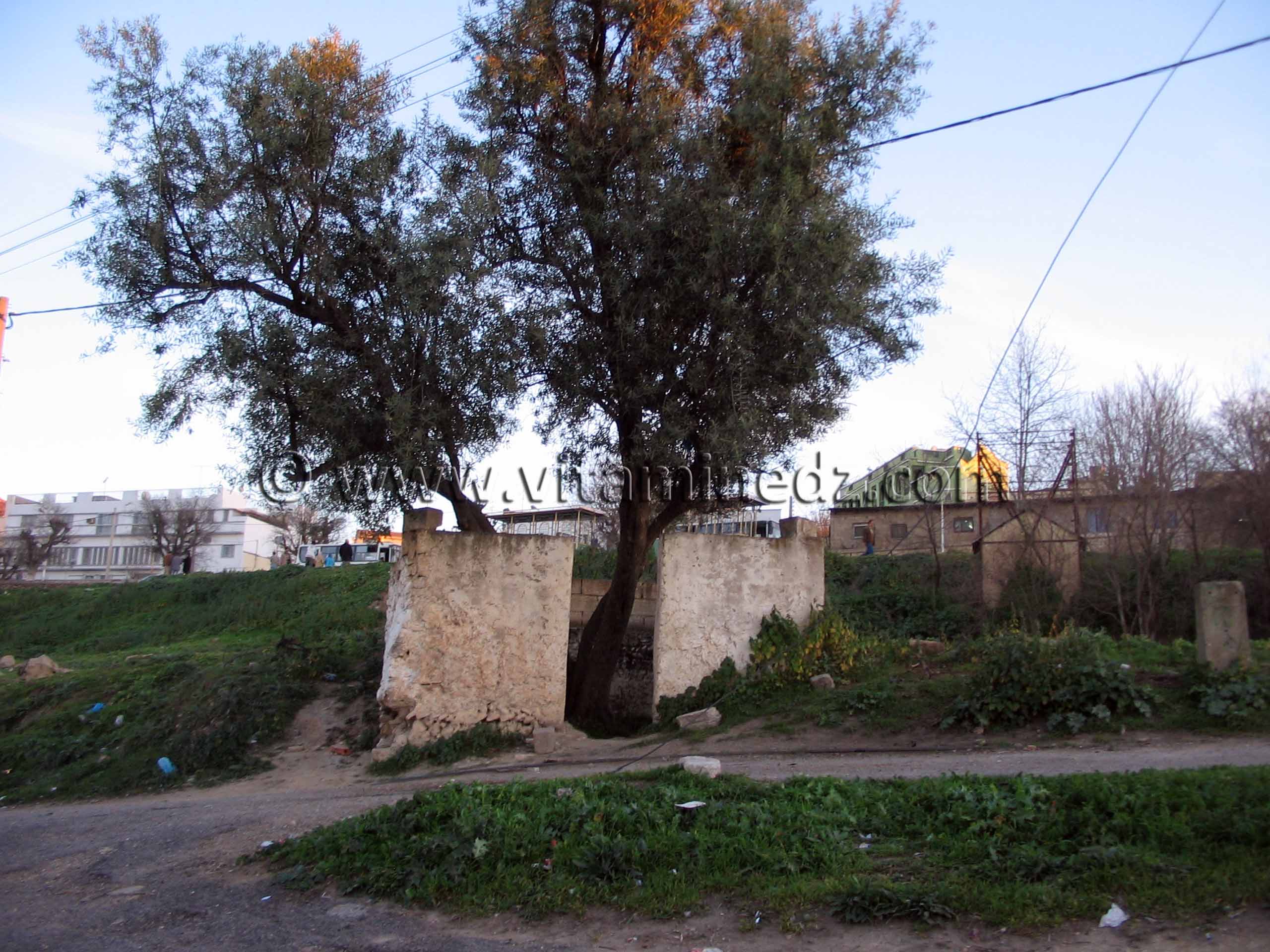 Darih de Lalla Kheira, non loin de sidi El haloui- Tlemcen