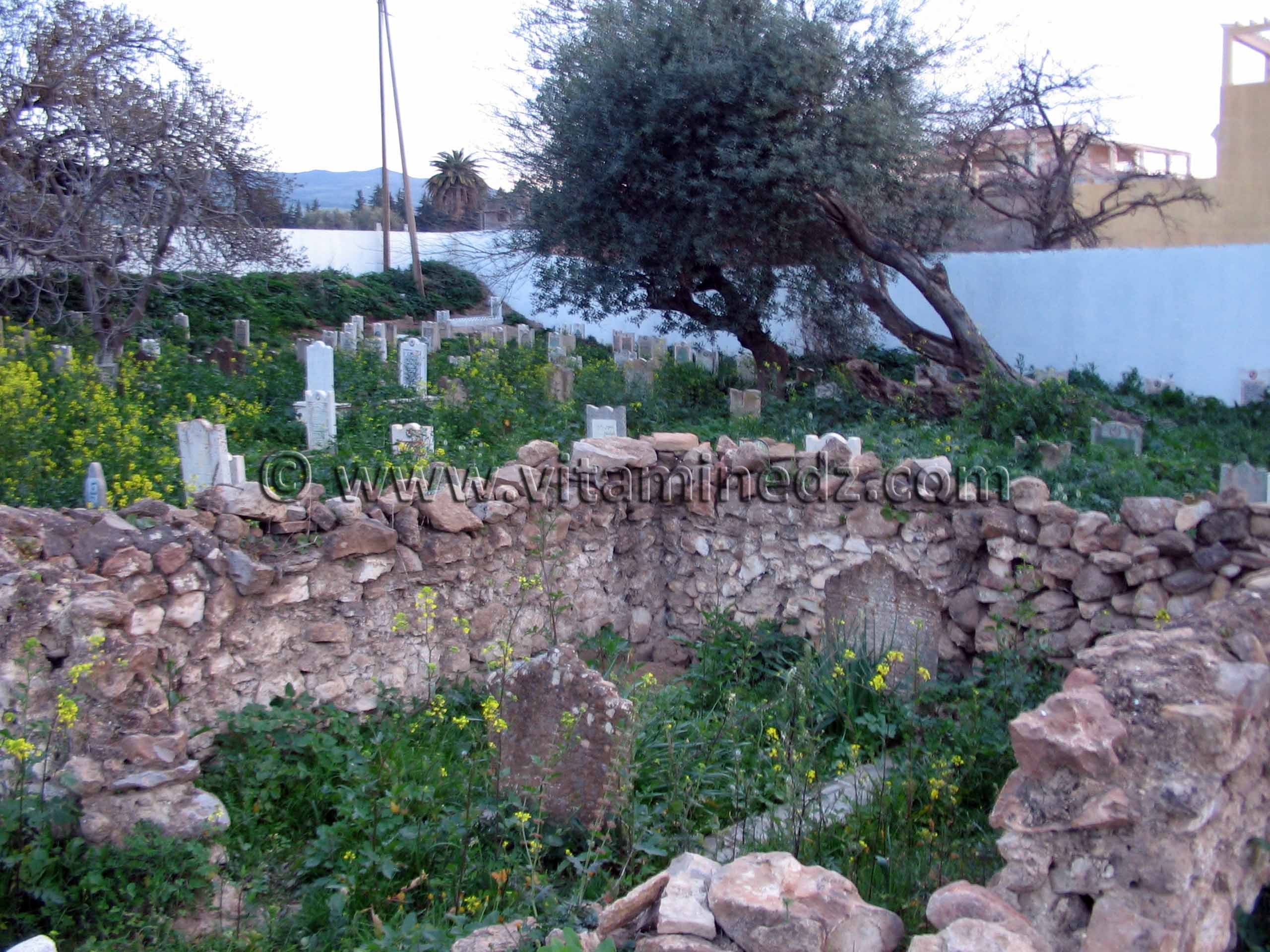 Sidi Bouchakour (Imama) Darih d'un saint de Tlemcen