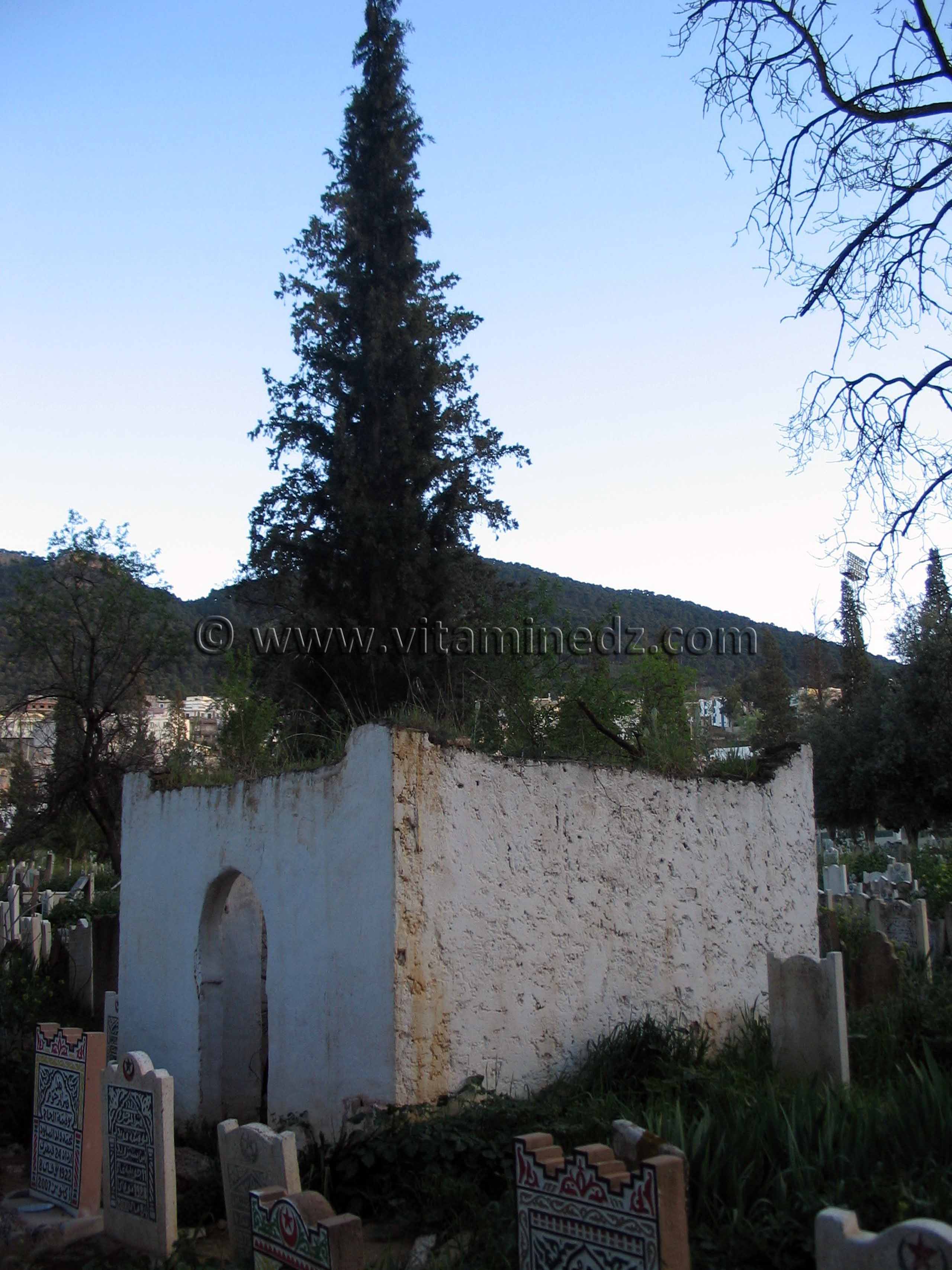 Darih d'Ibn Msaib, saint de Tlemcen