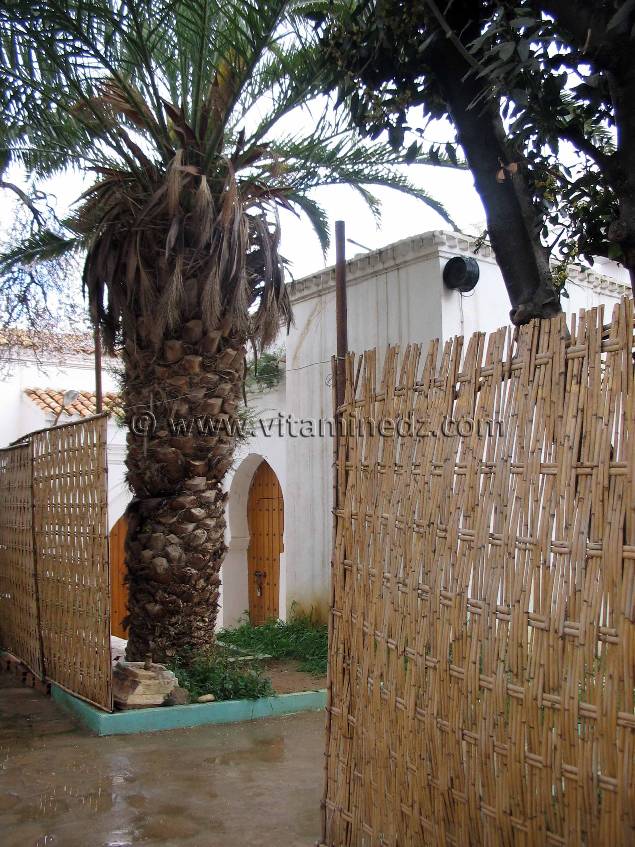 Darih de Ibrahim Ben Mohammed El-Masmoudy, à la mosquée Sidi Brahim