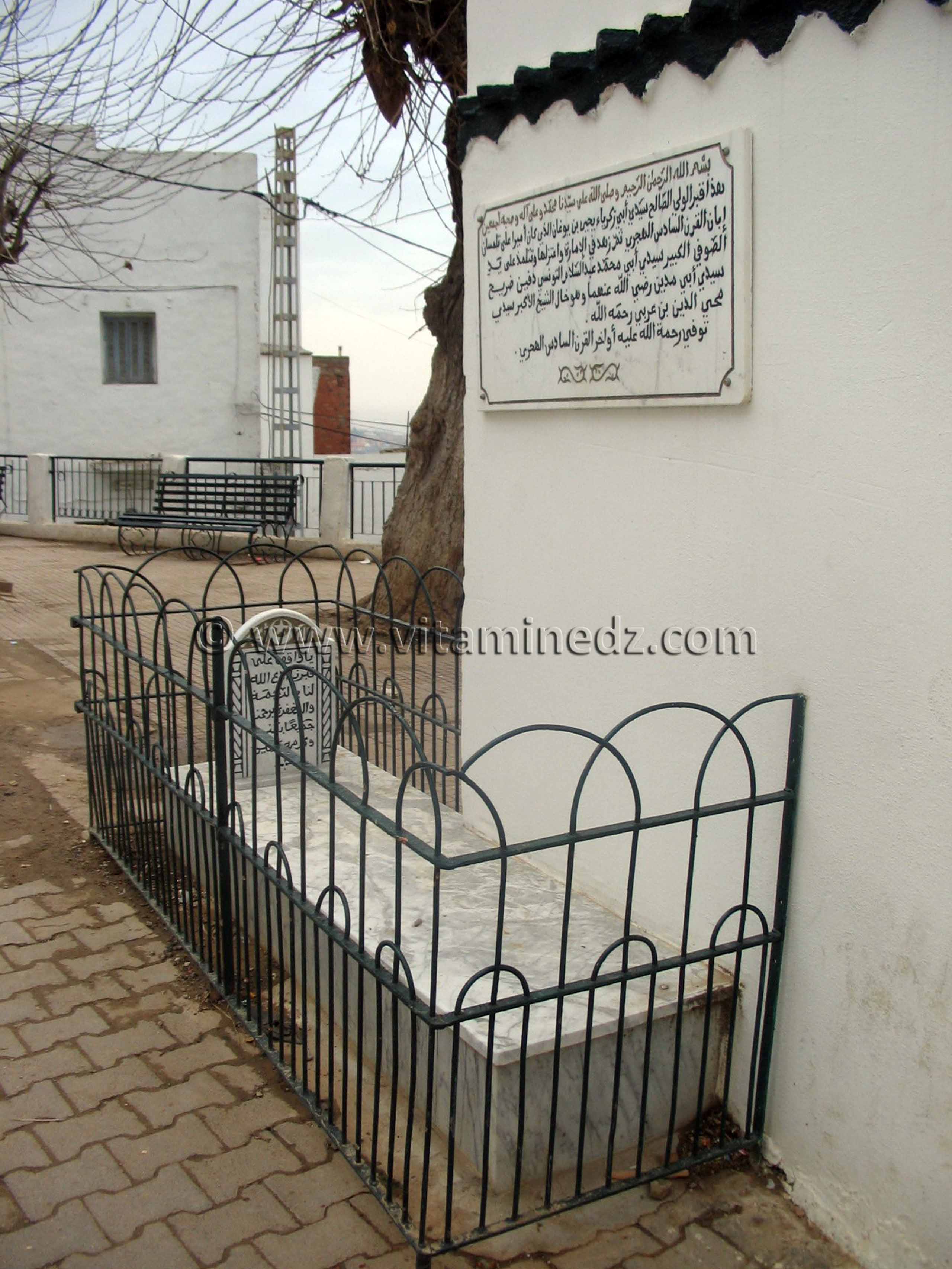 Tombe d'Abi Zakaria Yahia Ben Youghane, Emir de Tlemcen