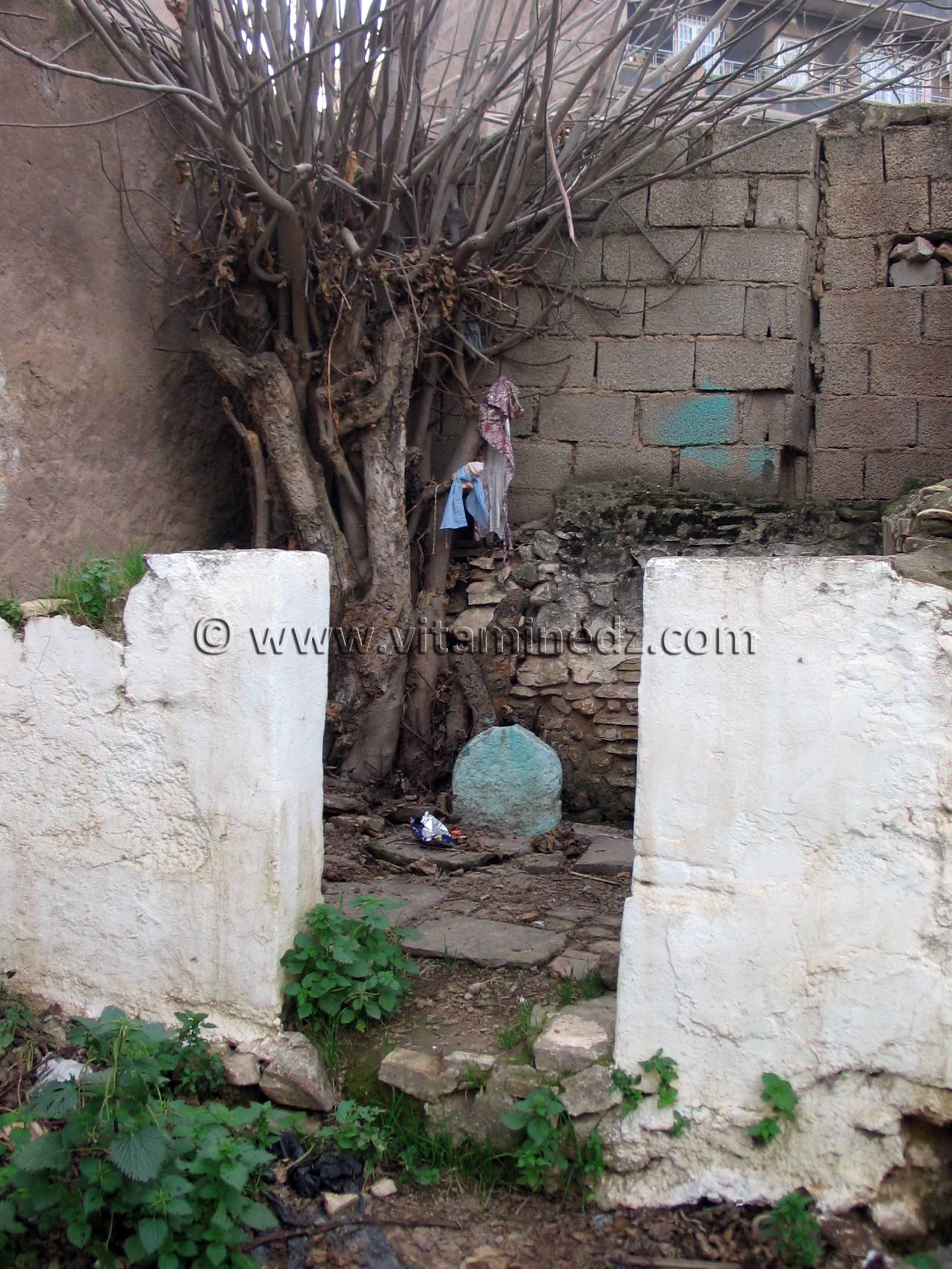 Darih d'un wali près de Sidi Daoudi Bennsar - Tlemcen