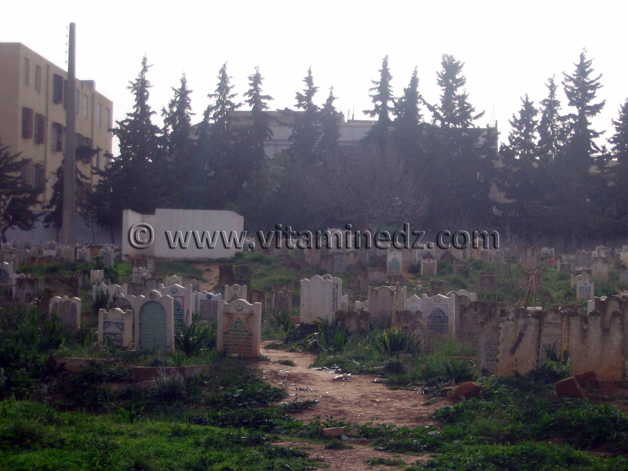 Cimetière de Kiffane - Tlemcen