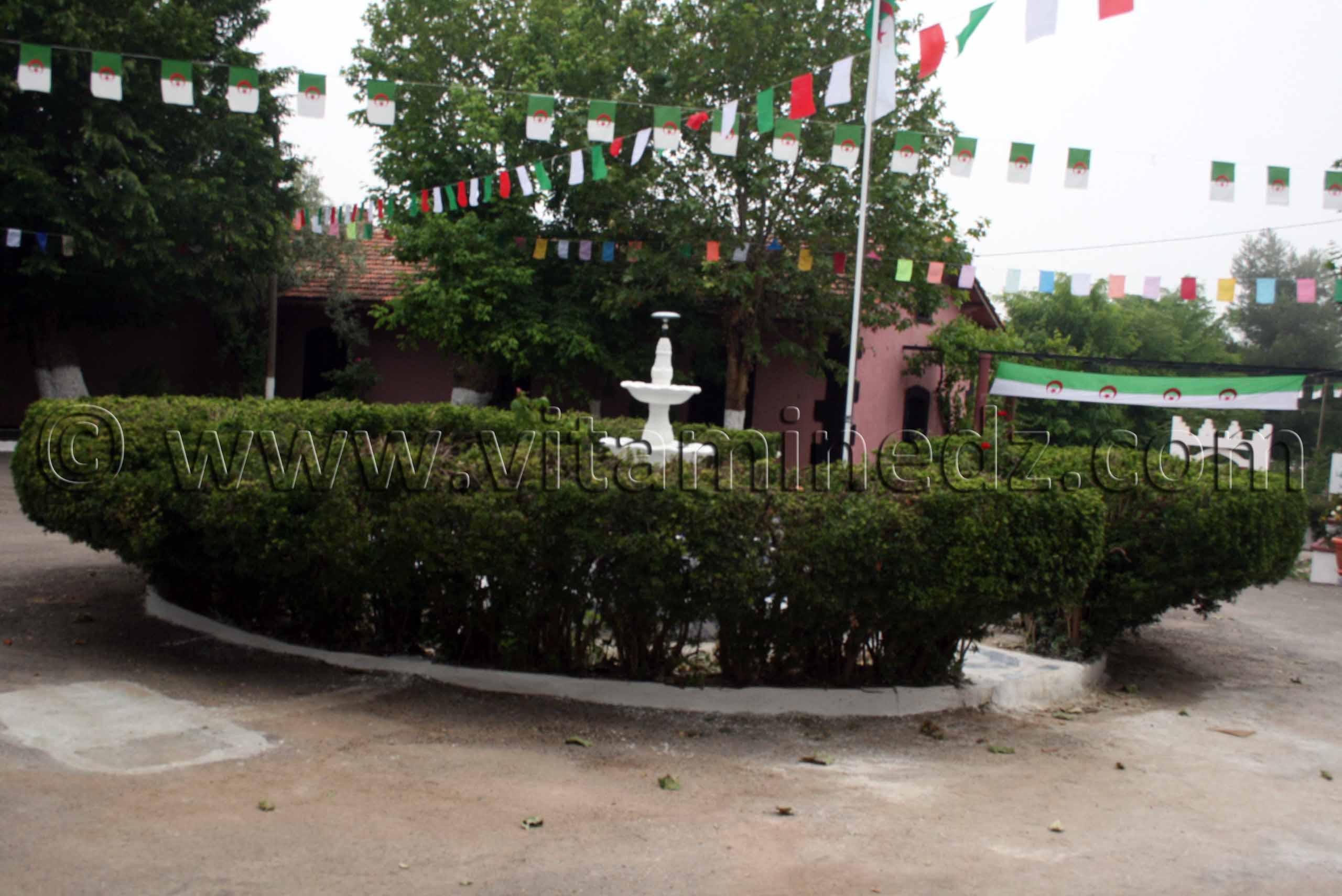 Bienvenue Haras de ChaouChaoua de Tiaret, vente de chevaux arabes