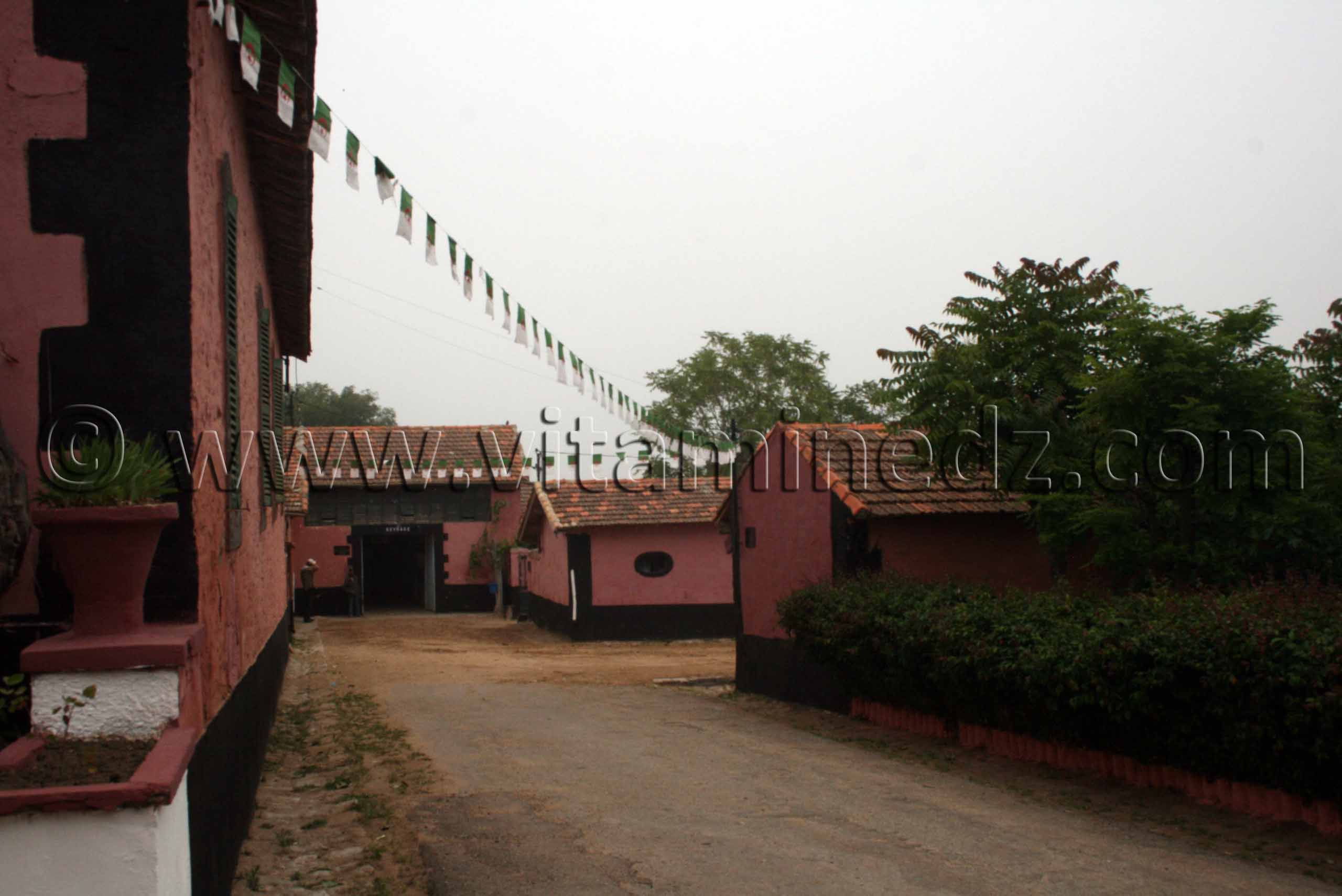 Photos Haras de ChaouChaoua de Tiaret
