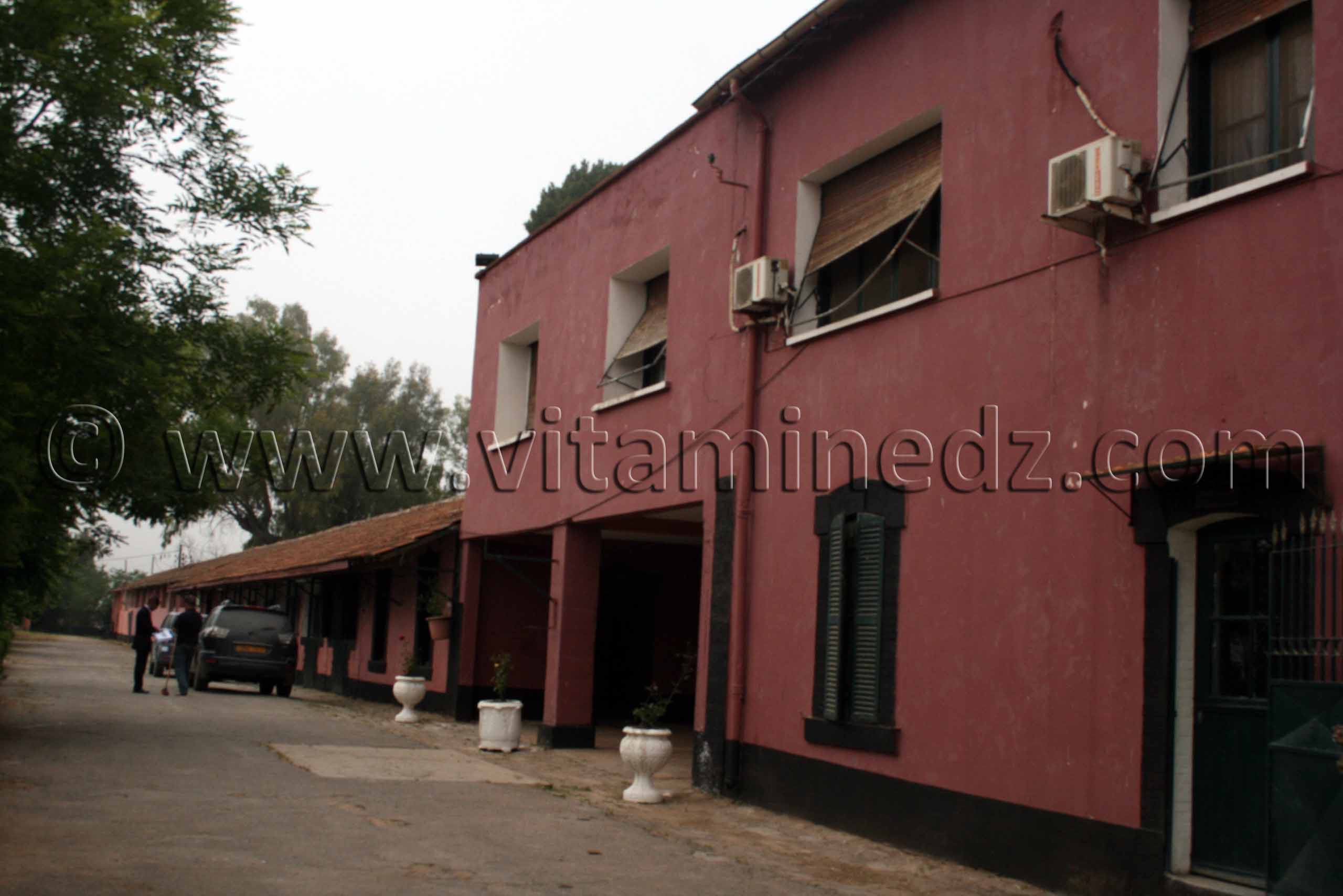 Le Haras de Chaou Chawa de Tiaret