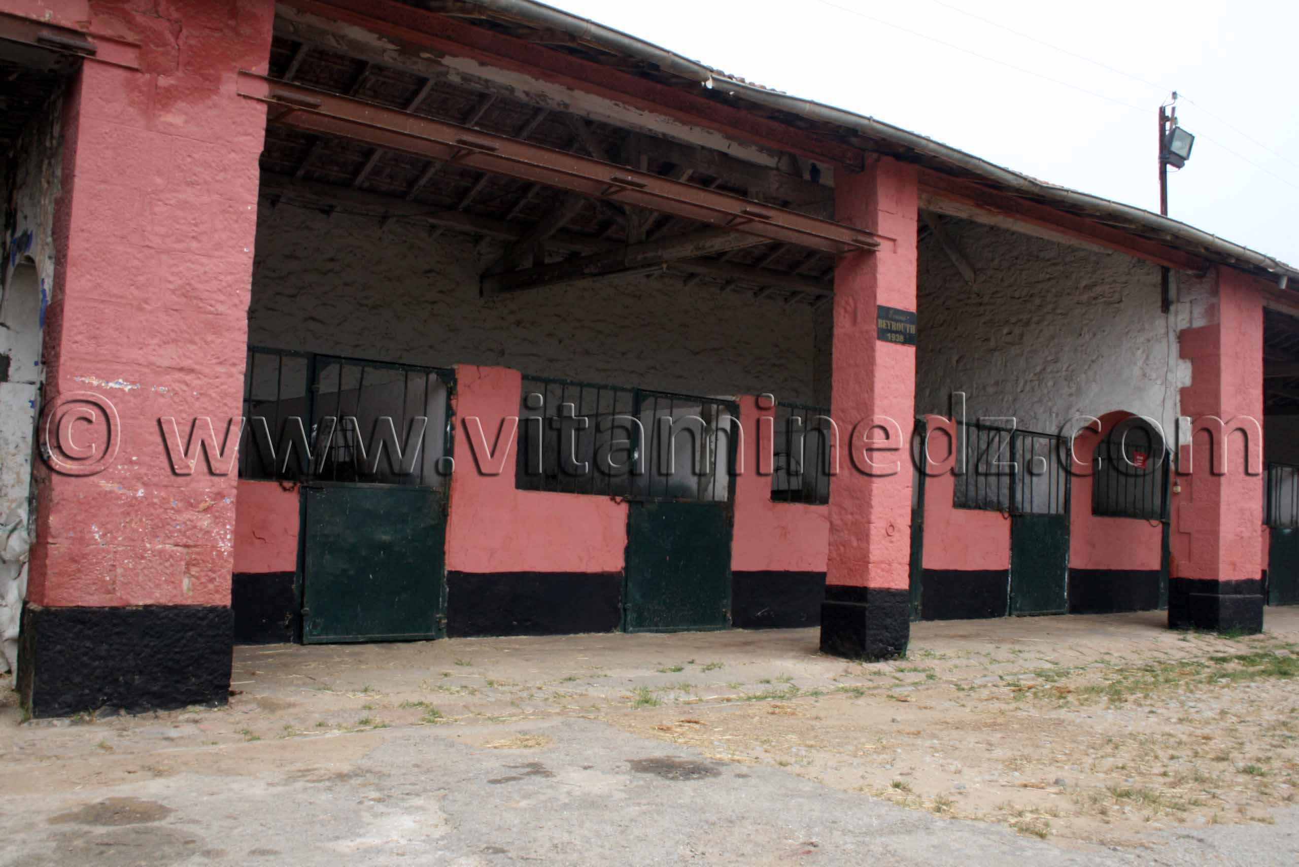 Le Haras de ChaouChaoua de Tiaret
