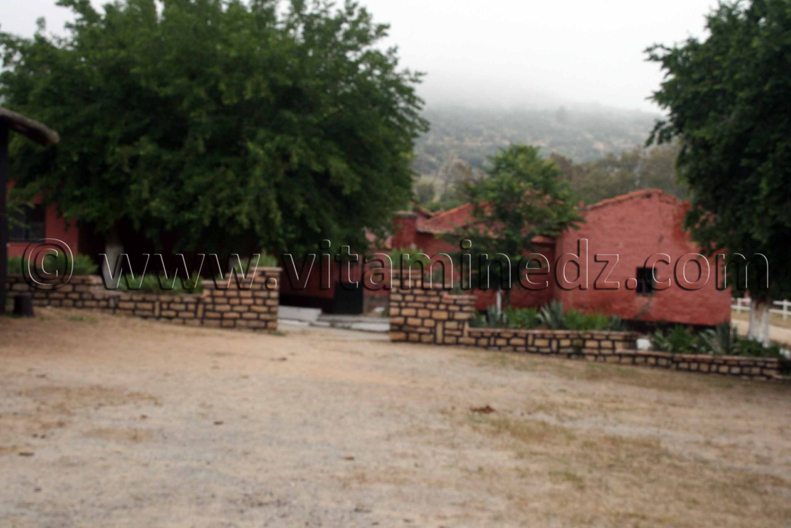 Tiaret Le haras de Chaouchaoua érigé en ZET
