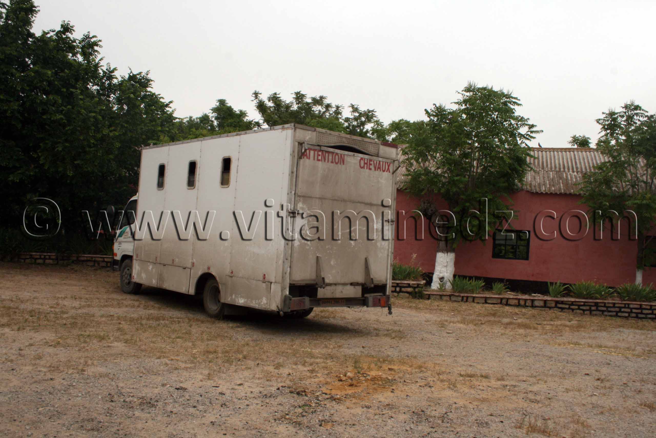 Camion de chevaux au Haras de ChaouChaoua de Tiaret