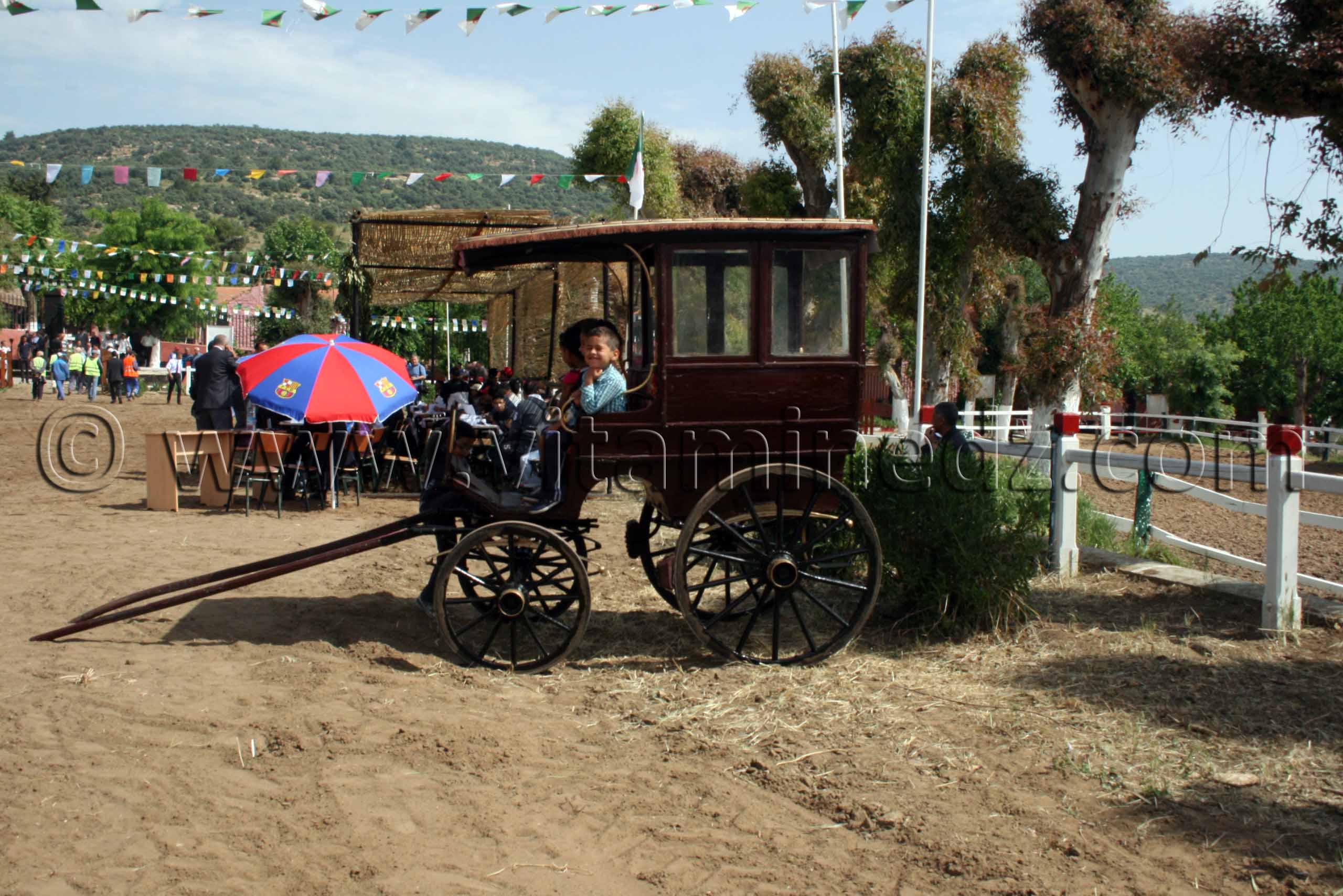 Enfants dans un ancien carosse - Le Haras de ChaouChaoua de Tiaret