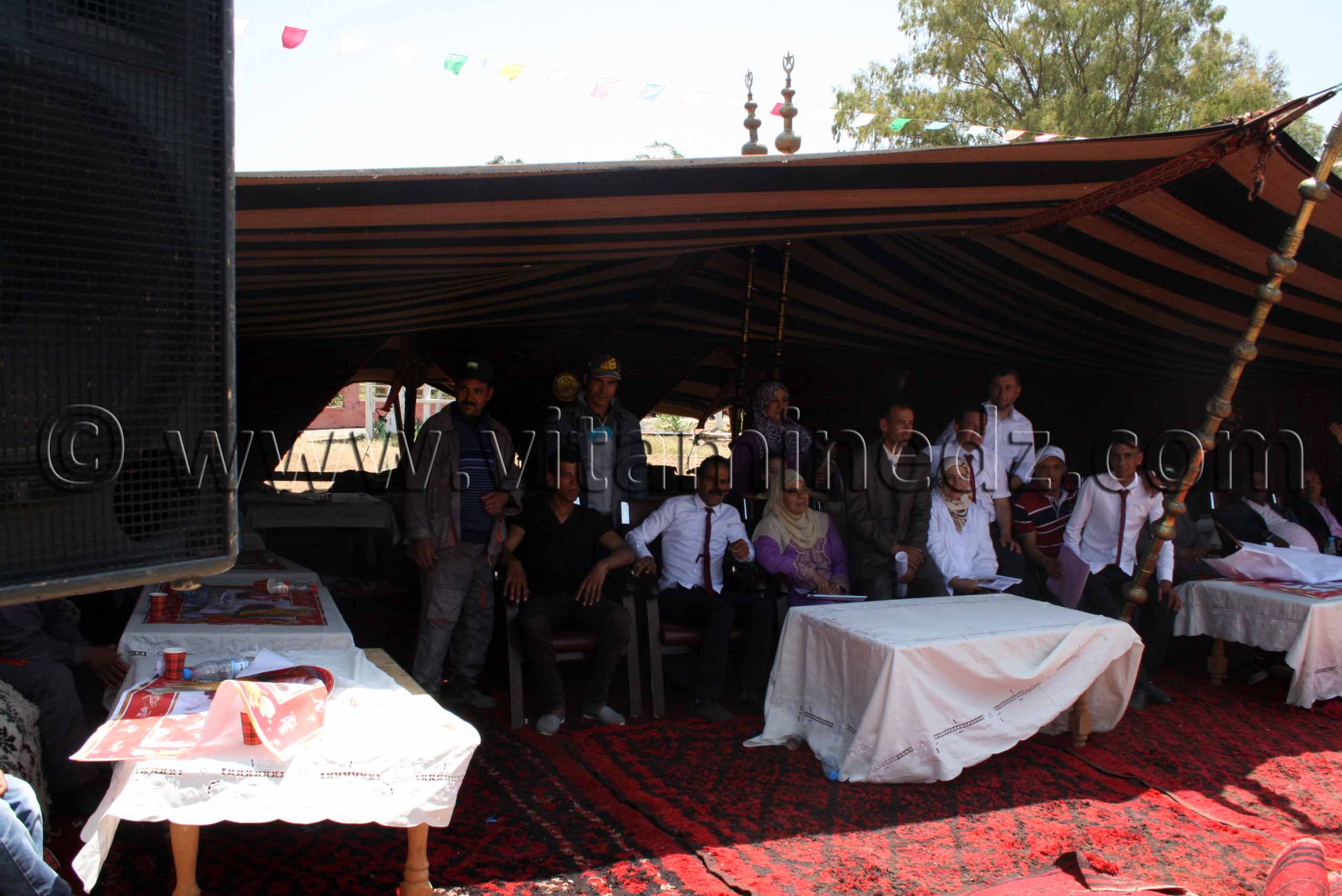 Invités du salon du cheval Le Haras de ChaouChaoua de Tiaret, vente de chevaux arabes