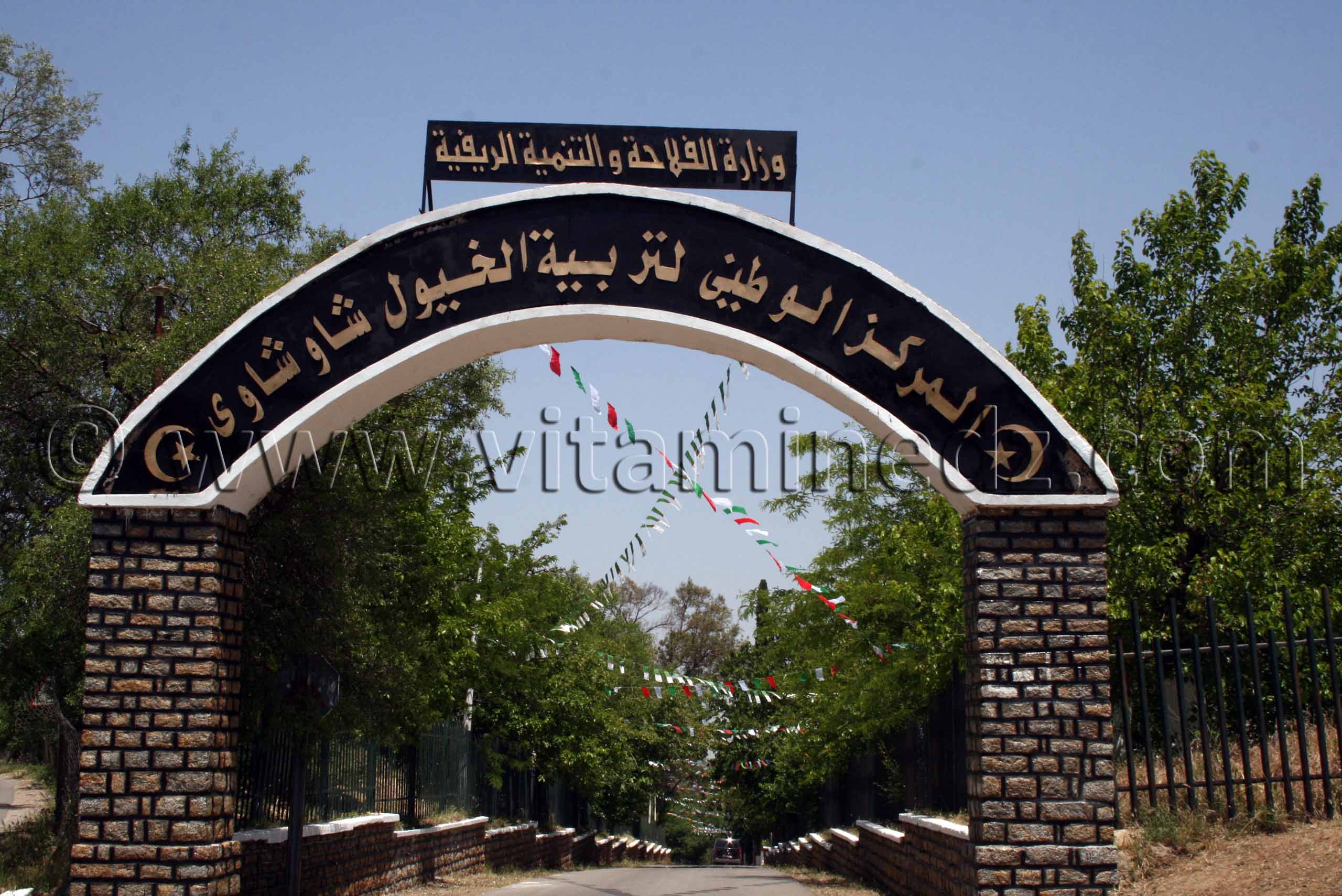 Le Haras de ChaouChaoua de Tiaret