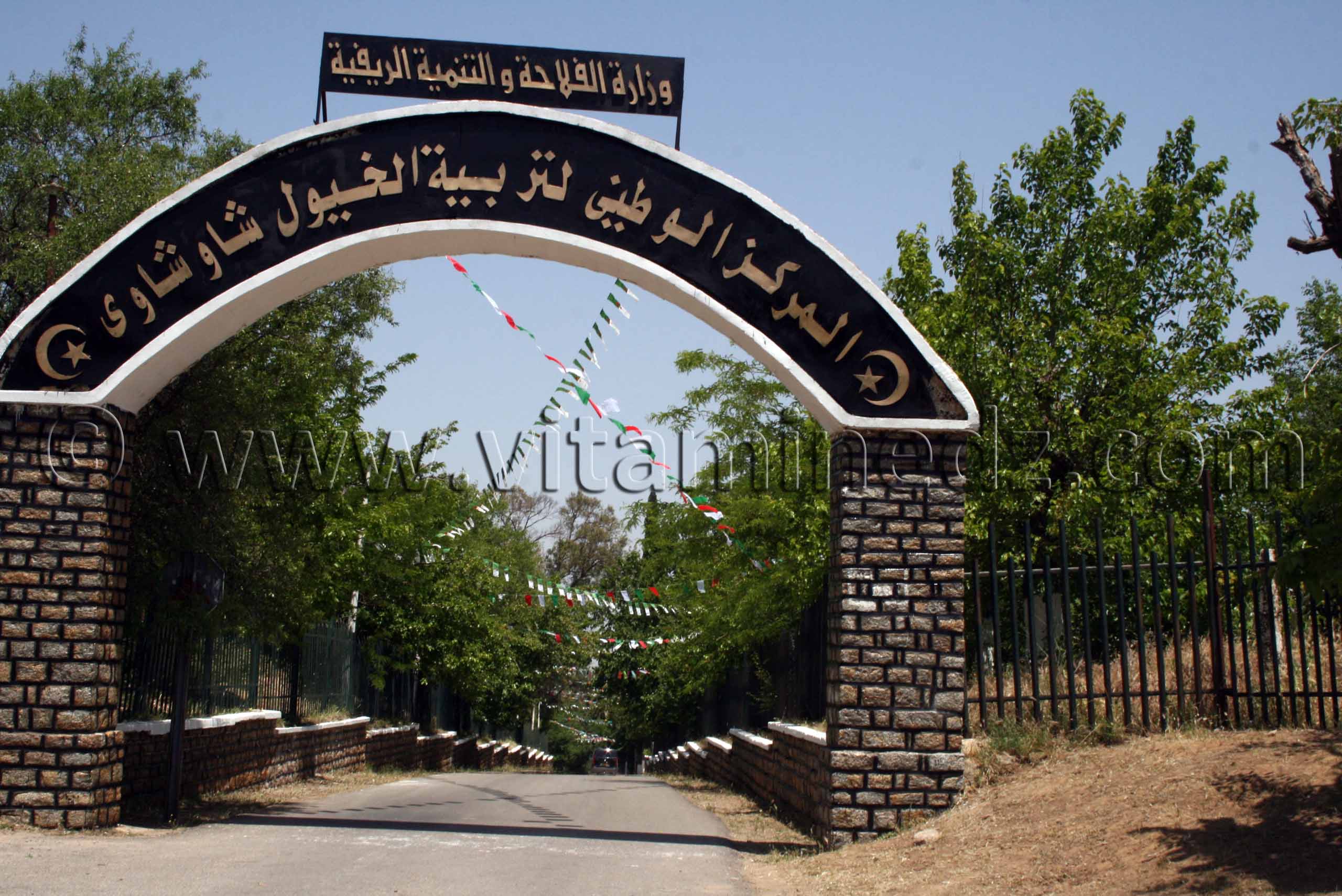 Le Haras de ChaouChaoua de Tiaret une référence pour le cheval algerien
