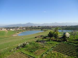 السدين قرية التلاتة