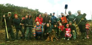 Planète - L’Irlande va planter 1 million d’arbres en 24 heures