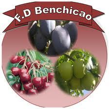 benchicao picture