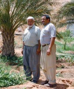 Ghardaïa - Le rituel de l’été et de l’automne dans le M’zab:  L’oasis séculaire