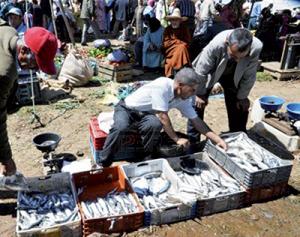 Oran - Insécurité alimentaire: Du poisson décongelé au prix du frais