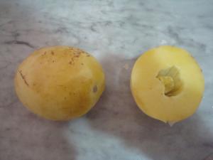 Pepino ou Poire-melon ou Morelle de Wallis (Solanum Muricatum)