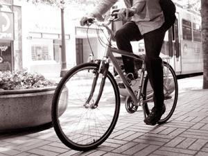 Alger - En l’absence de transport de voyageurs: Recours massif aux vélos