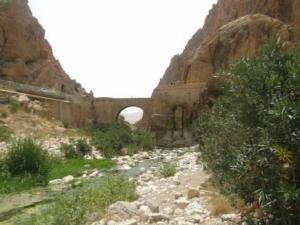 El Kantara - La politique du bulldozer ne passera pas