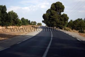 Route de la commune de Ben achiba Chelia, wilaya de Sidi Belabbes