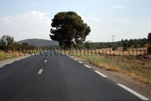 500 millions pour l’entretien de la forêt de Bouhriz