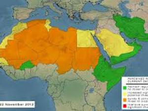 Afrique - Menace acridienne en perspective dans les pays du Sahel