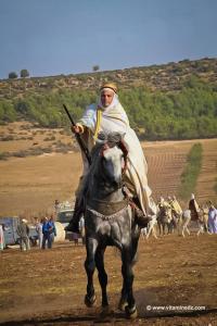 Beau cavalier Waada de Tenira, Wilaya de Sidi Bel Abbes