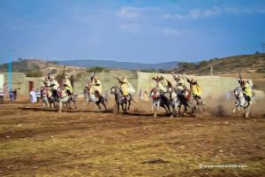 Fantasia, cavaliers bardes - Waada de Tenira, Wilaya de Sidi Bel Abbes