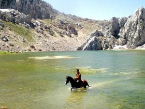 Programme Méditerranée Rive Sud:  Une association au chevet de l’environnement