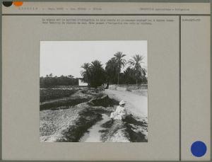 La séguia est le système d'irrigation le plus simple