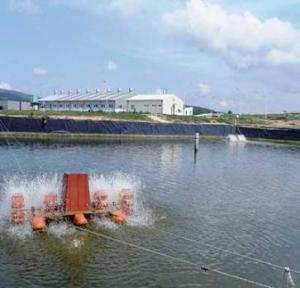 Ferme aquacole de la Marsa:  Des résultats encourageants en si peu de temps