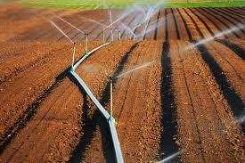 Aïn-Témouchent -  La politique de gestion de l’eau d’irrigation en débat